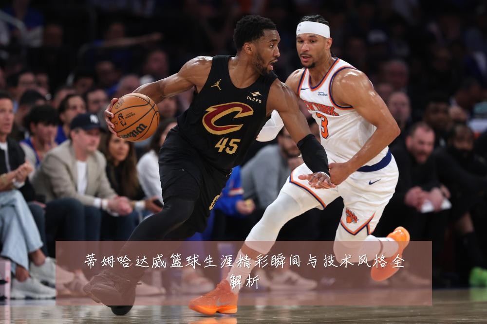 蒂姆哈达威篮球生涯精彩瞬间与技术风格全解析